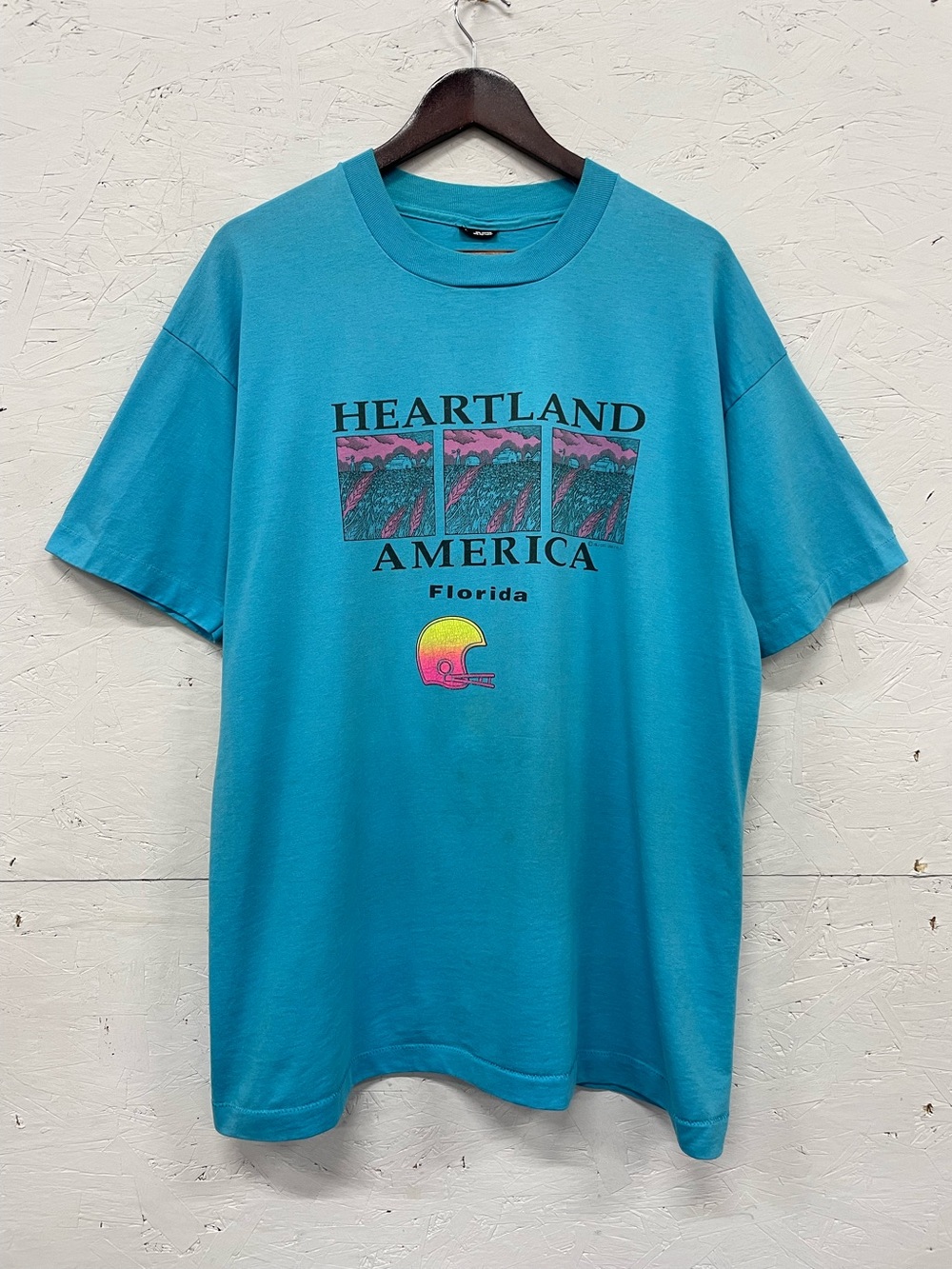 Vintage 1980s/1990s “Heartland American” Florida Destination Tee, Size XL, Blue